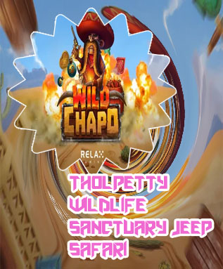 Wild life slots